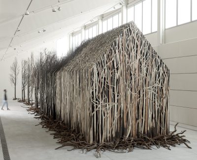 A house-like structured made of 800 dead trees.