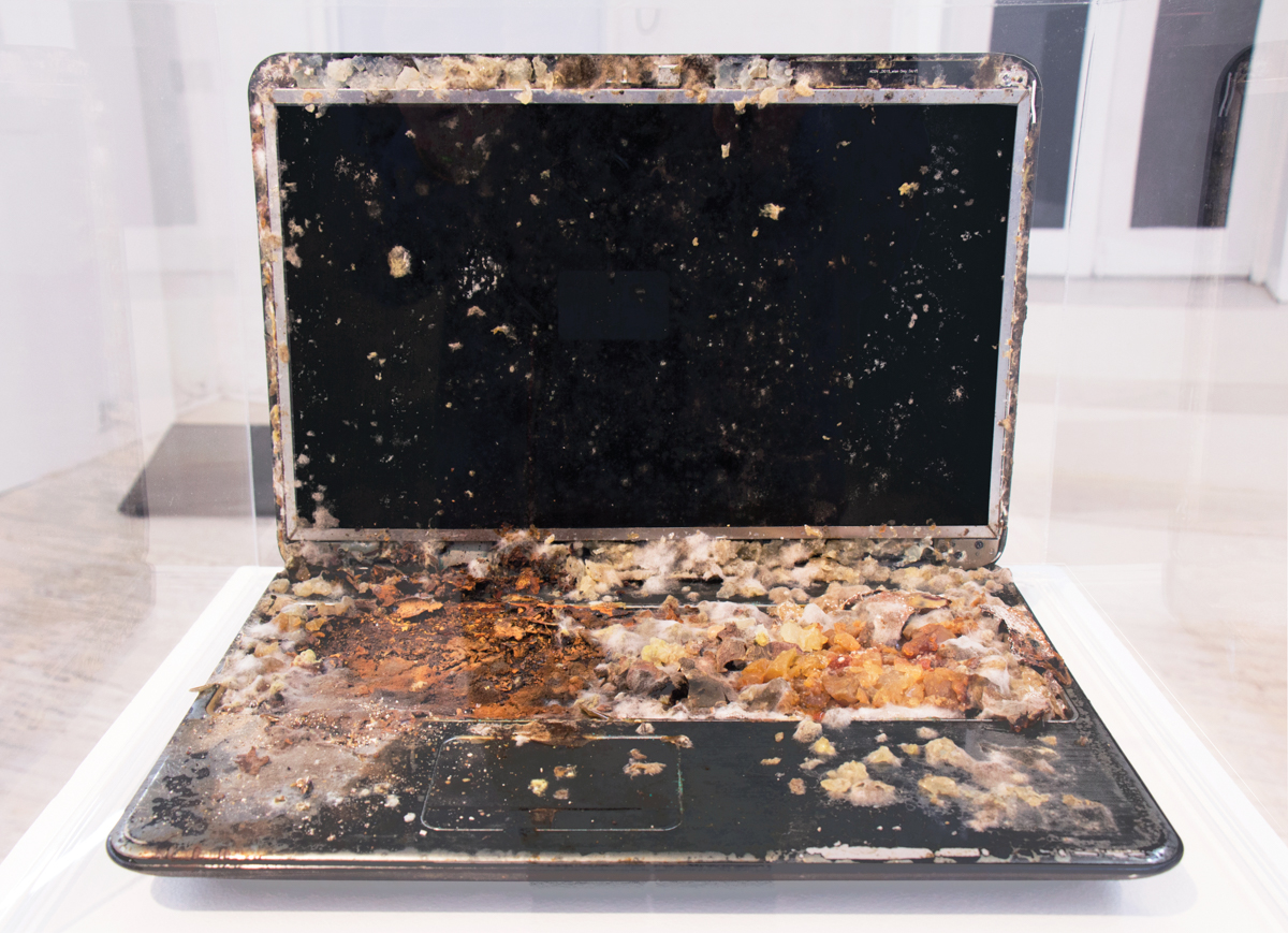 A laptop being overtaken by mold in a gallery.