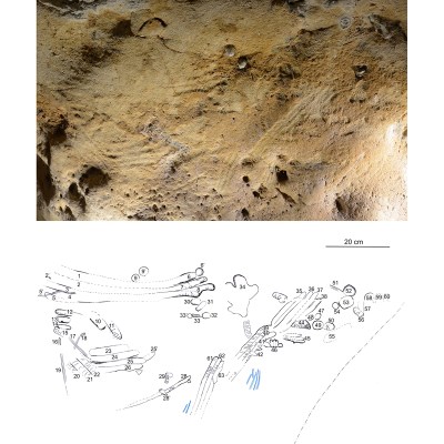 The tracking of Neanderthal finger flutings in a cave in La Roche-Cotard in the Loire Valley, France. In the model below, the finger flutings are shown in black and animal tracks are in blue.